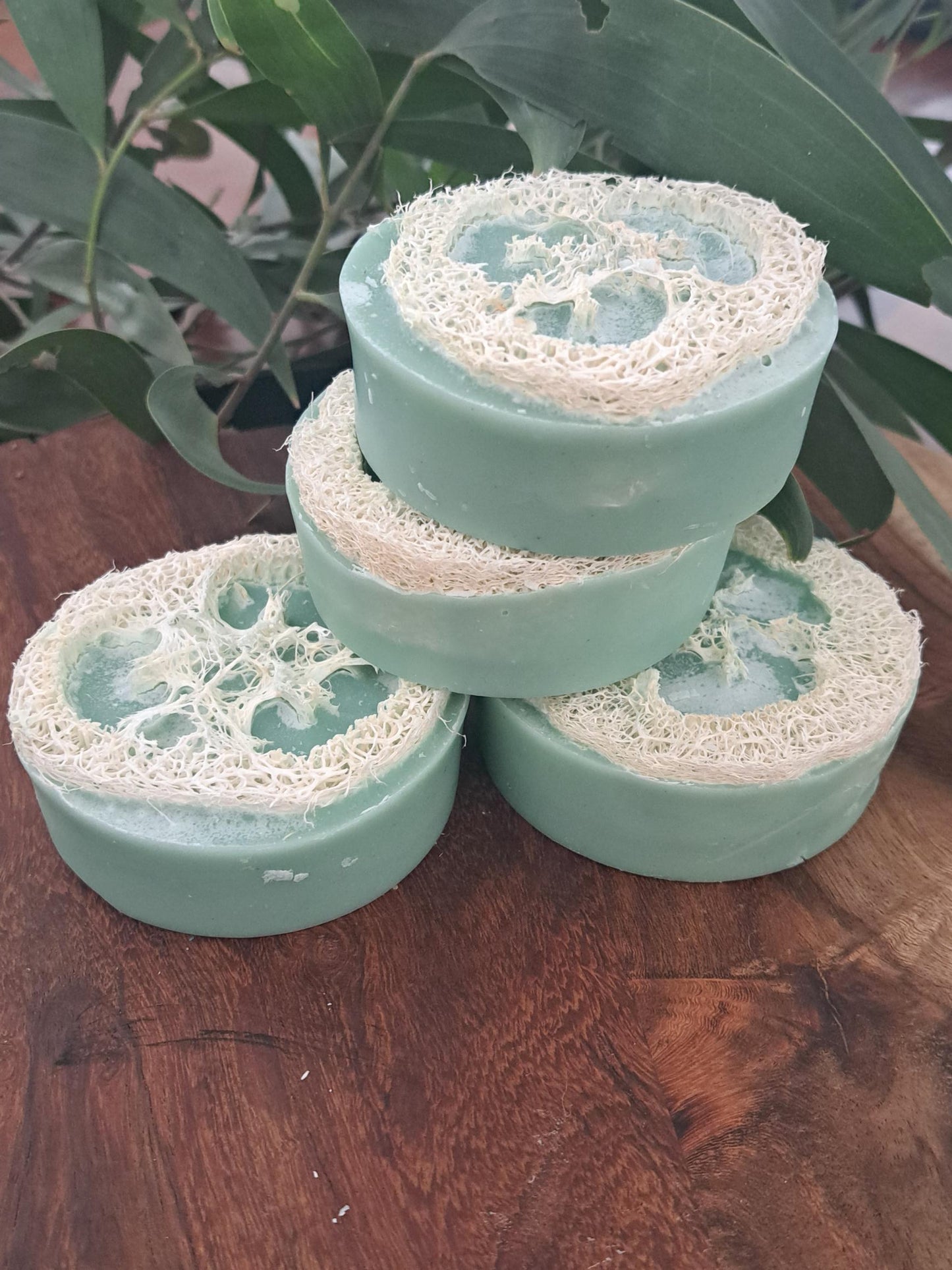 Lupus Rex Australian Handmade green loofah soaps scent profile Rosemary, Peppermint and Spearmint