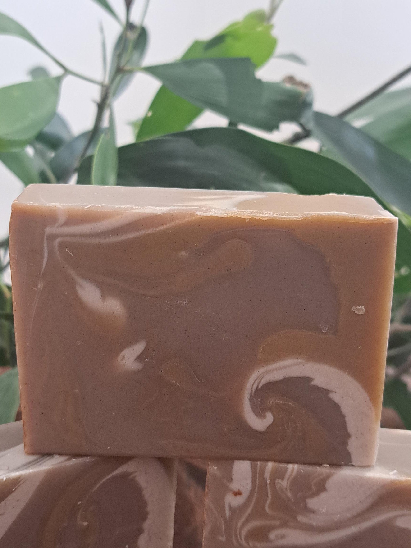 Australian handmade brown soap with white swirl from Lupus Rex shen soap featuring dead sea mud and shea butter